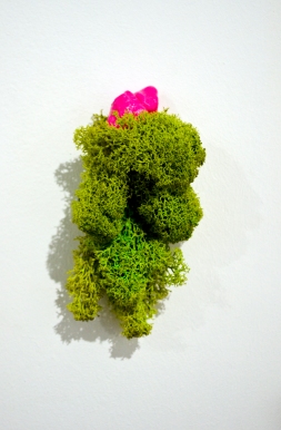 bubblegum moss